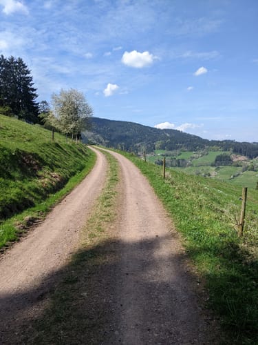 Rundwanderung Oberried