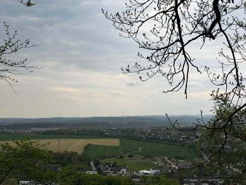 Niederhofer Holz - Hengsteysee - Rombergholz