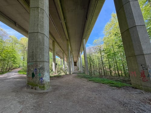Niederhofer Holz - Hengsteysee - Rombergholz