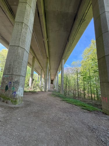 Niederhofer Holz - Hengsteysee - Rombergholz