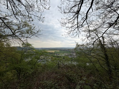 Niederhofer Holz - Hengsteysee - Rombergholz