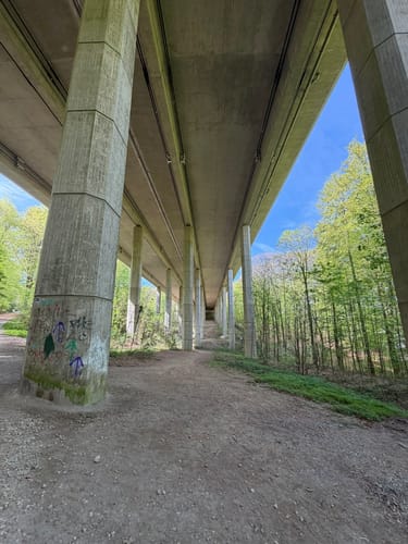 Niederhofer Holz - Hengsteysee - Rombergholz