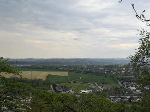 Niederhofer Holz - Hengsteysee - Rombergholz