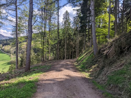 Rundwanderung Oberried