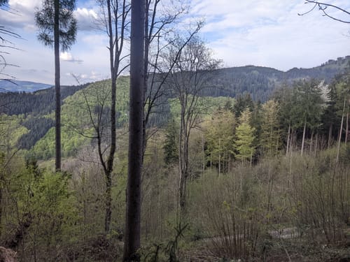 Rundwanderung Oberried
