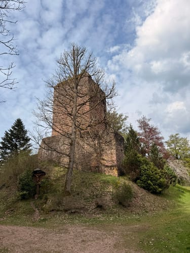 Um Schramberg von Burg zu Burg