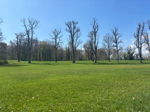 Rund um die Herreninsel über Otto's und Paul's Ruh'