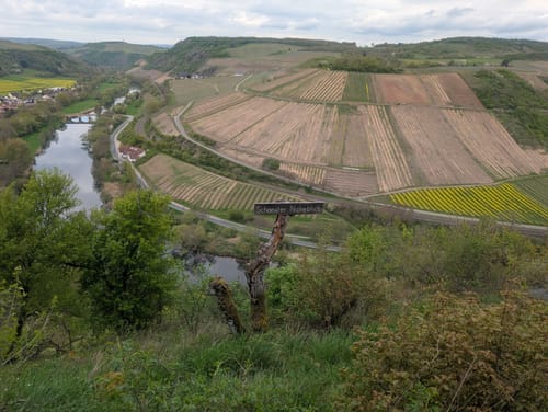 Geheimnisvoller Lemberg (Vitaltour)