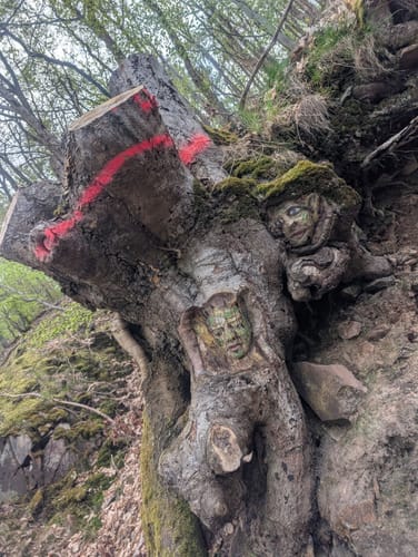 Geheimnisvoller Lemberg (Vitaltour)