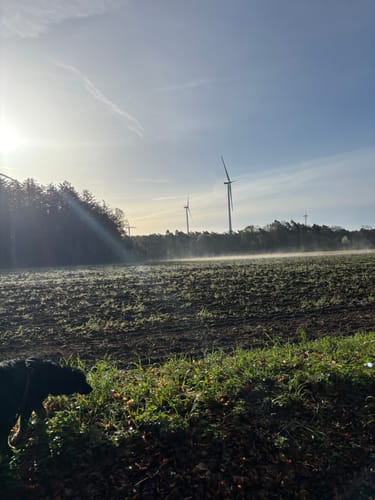 Napoleonsbuche Rundweg A2