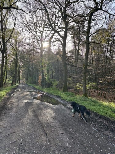 Napoleonsbuche Rundweg A2