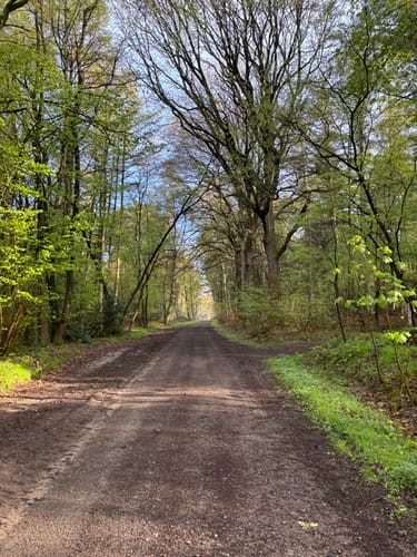Napoleonsbuche Rundweg A2