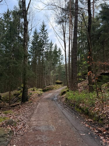 Leupoldishain - Labyrinthwächter - Panoramablick Bernhardstein