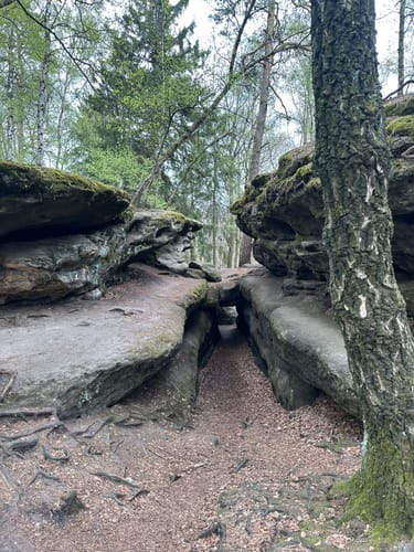 Leupoldishain - Labyrinthwächter - Panoramablick Bernhardstein