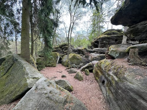 Leupoldishain - Labyrinthwächter - Panoramablick Bernhardstein