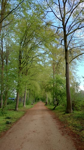 Rund um Hüls: Fliethgraben - Finnbruchgraben - Burgpark