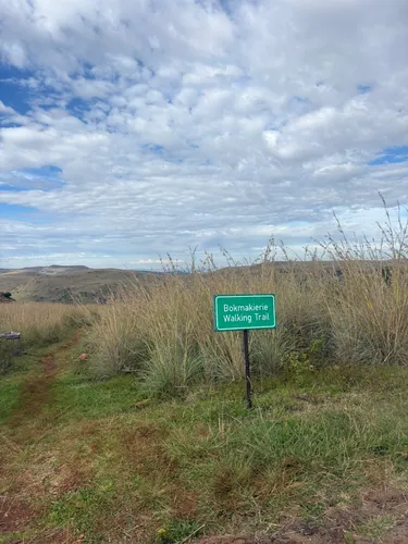 Best forest trails in Suikerbosrand Nature Reserve | AllTrails