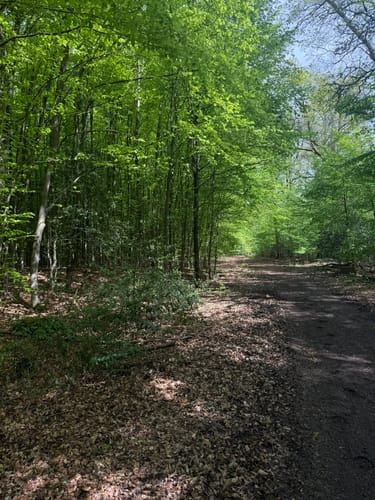 Wahner Heide ab Parkplatz Busenberg