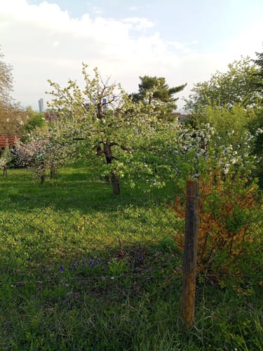 Von Fellbach über Kappelberg und Stetten