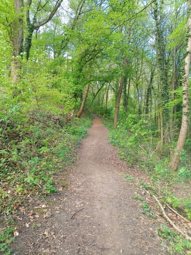 Von Fellbach über Kappelberg und Stetten