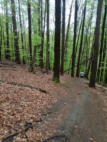 Von Fellbach über Kappelberg und Stetten
