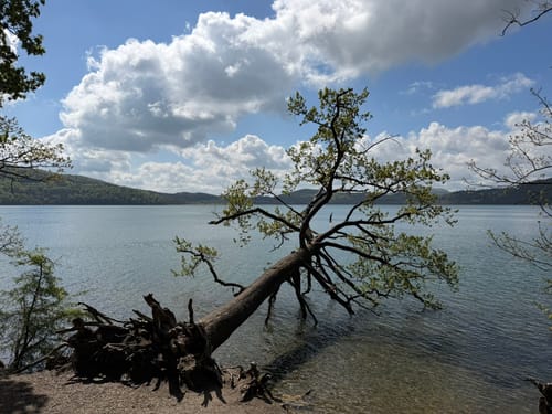 Rundweg um den Laacher See