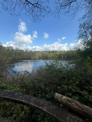 Wahner Heide ab Parkplatz Busenberg