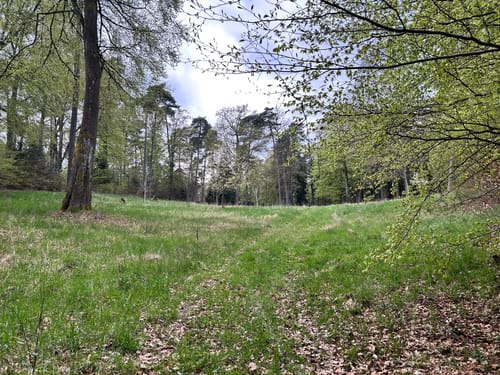 Hohe Loog, Kalmit und Hohberg Rundweg ab Neustadt