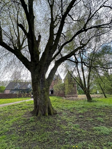 Knappenhalde - Gleispark Frintrop - Olgapark