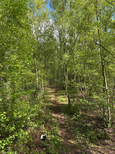 Knappenhalde - Gleispark Frintrop - Olgapark