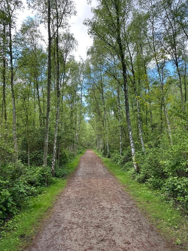 Knappenhalde - Gleispark Frintrop - Olgapark