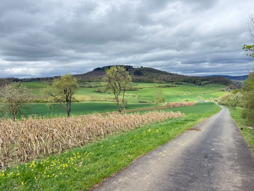 Ebensfelder Main-Runde - Wiesener Rundweg