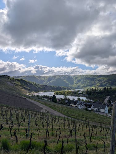 Zitronenkrämerkreuz (Premiumwanderweg)
