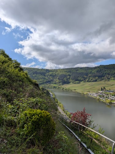 Zitronenkrämerkreuz (Premiumwanderweg)