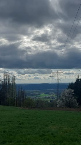 Rund um Neufang