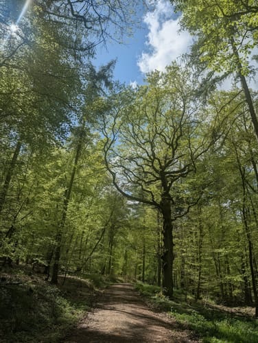 Bekond Rundweg