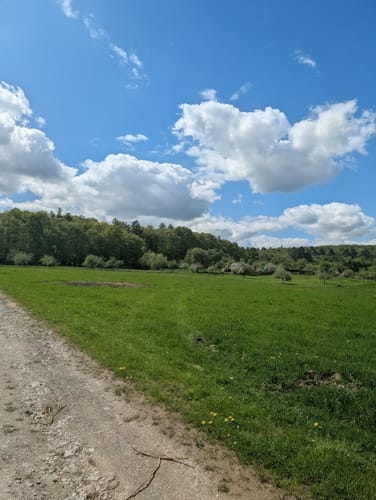 Bekond Rundweg