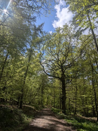 Bekond Rundweg