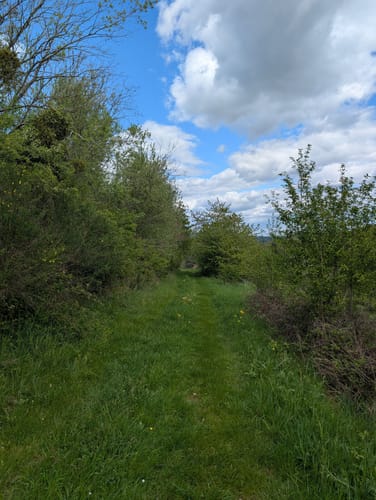 Bekond Rundweg