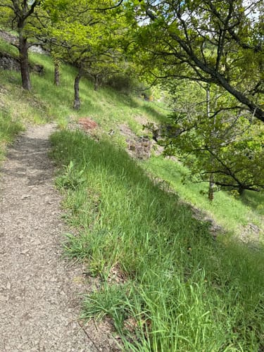 Löfer Rabenlaypfad (Premiumspazierwanderweg)