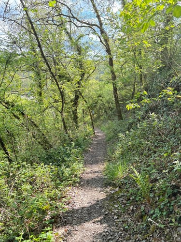 Löfer Rabenlaypfad (Premiumspazierwanderweg)