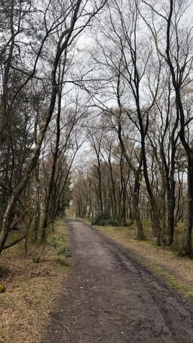 Struffeltroute
