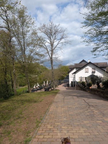 Geheimnisvoller Lemberg (Vitaltour)