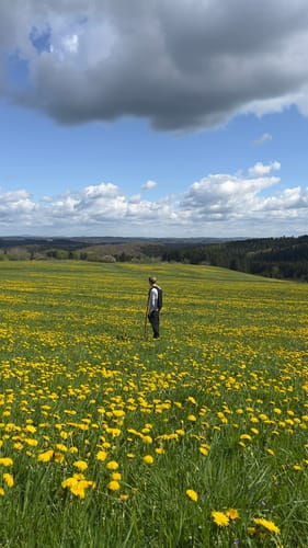 Von Gönnersdorf entlang dem Toedtbach