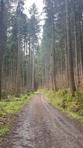 Von Gönnersdorf entlang dem Toedtbach