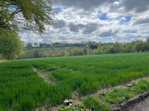 Olper Höhe Rundweg A2