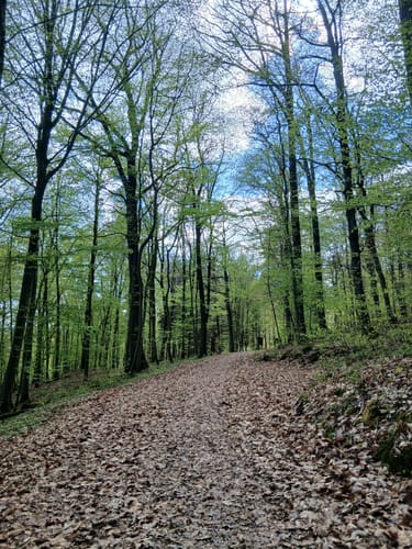 Spazierrunde von Lütterz