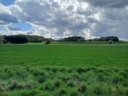 Spazierrunde von Lütterz
