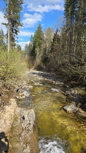 Altlacher Hochkopf