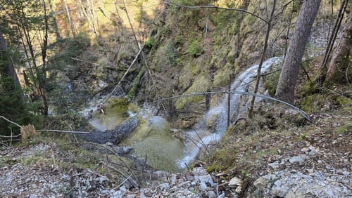 Altlacher Hochkopf